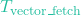 T_{\text{vector\_fetch}}